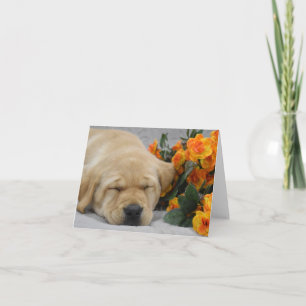 Sleeping Labrador Puppy met bloemen Notitiekaartje