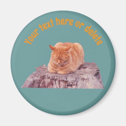 Sleeping Orange Tabby Cat Personalized Magneet (Voorkant)