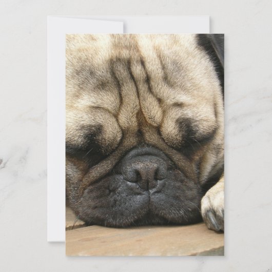 Sleeping Pug-uitnodiging Kaart (Voorkant)