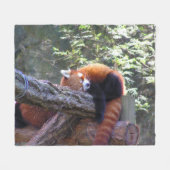 Sleeping Red Panda Fleece Deken (Voorkant (Horizontaal))