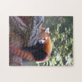 Sleeping Red Panda Legpuzzel (Horizontaal)