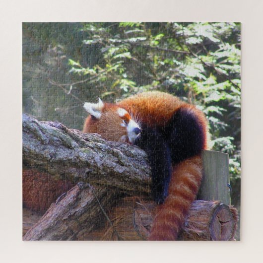 Sleeping Red Panda Legpuzzel (Verticaal)