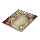 Sleeping Roborovski Hamster Tegeltje (Zijkant)