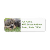 Sleeping Schnauzer Chien Étiquette (Devant)