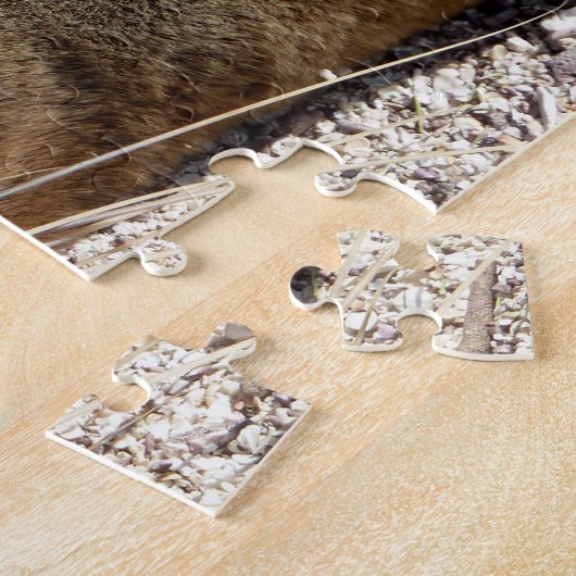 Sleeping Sea Lion Close, Puzzle (Côté)