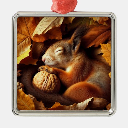 Sleeping Squirrel Ornament (Voorkant)