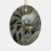 Sleeping tijger-kat keramisch ornament (Rechts)