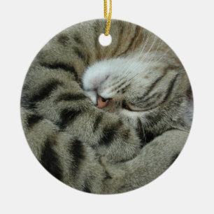 Sleeping tijger-kat keramisch ornament