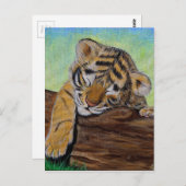 Sleeping van de tijgermantel briefkaart (Voorkant / Achterkant)