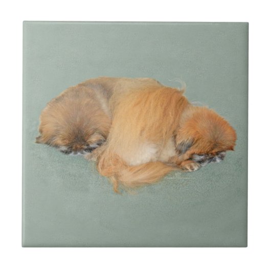 Sleepy Aftermiddag Tegeltje (Voorkant)