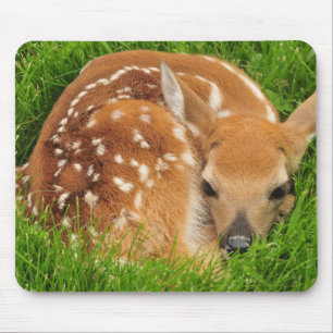 Sleepy Baby Fawn Muismat