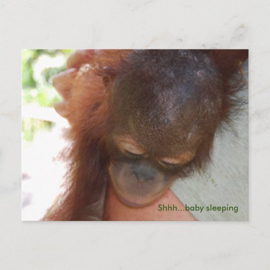 Sleepy Baby Orangutan in de armen van papa Briefkaart (Voorkant)