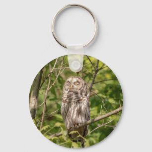 Sleepy Barred Owl Sleutelhanger