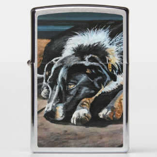 Sleepy Border Collie Zippo Lighter