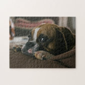 Sleepy Boxer Dog Legpuzzel (Horizontaal)