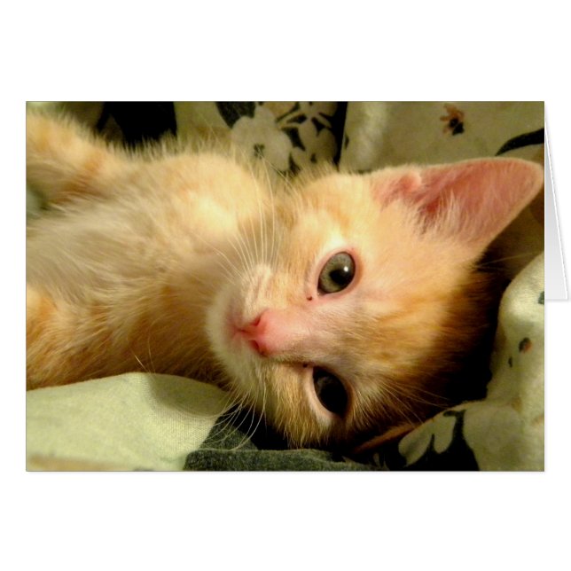 Sleepy Boy I (Voorkant Horizontaal)