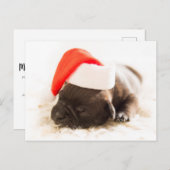 Sleepy Bulldog Puppy Kerstmis Briefkaart (Voorkant / Achterkant)