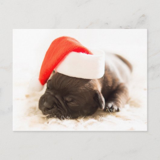 Sleepy Bulldog Puppy Kerstmis Briefkaart (Voorkant)