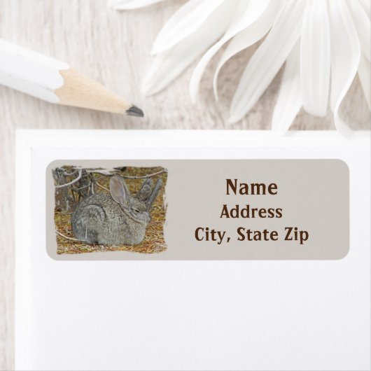 Sleepy Bunny Desert Hare Cozy Snoozing Rabbit Etiket (Insitu)