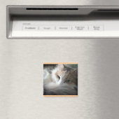 Sleepy Calico Magneet (Insitu (Vaatwasser))