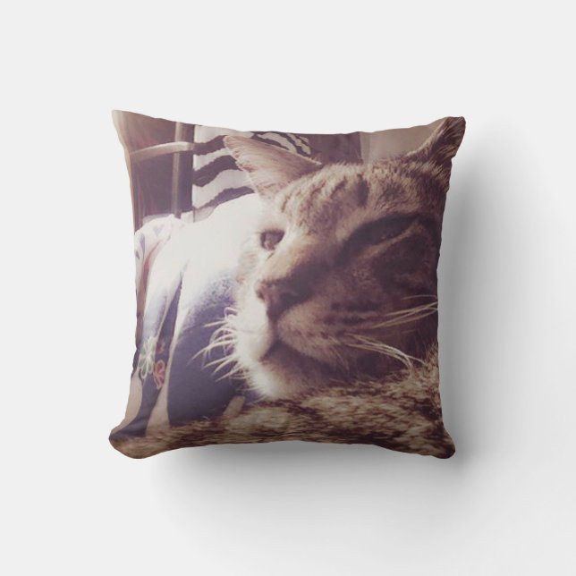  "Sleepy Cat"-foto | Sierkussen (Voorkant)