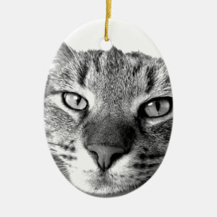 Sleepy Cat Keramisch Ornament