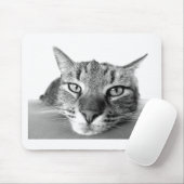 Sleepy Cat Muismat (Met muis)