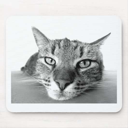 Sleepy Cat Muismat (Voorkant)