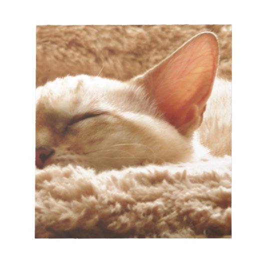 Sleepy Cat Notitieblok (Voorkant)