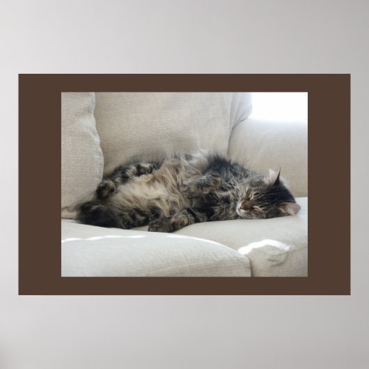 Sleepy Cat Poster (Voorkant)