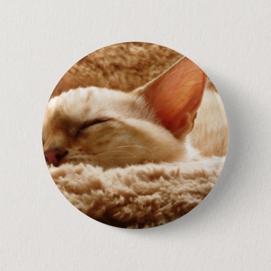 Sleepy Cat Ronde Button 5,7 Cm (Voorkant)