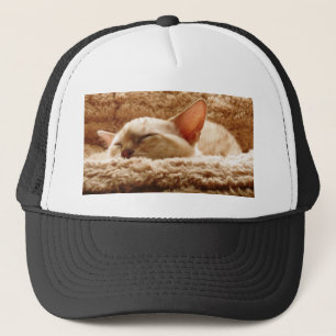 Sleepy Cat Trucker Pet