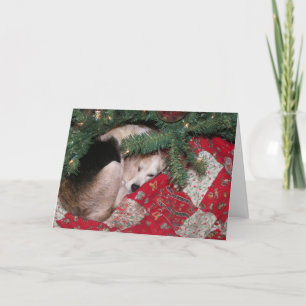 Sleepy Christmas Beagle Feestdagen Kaart