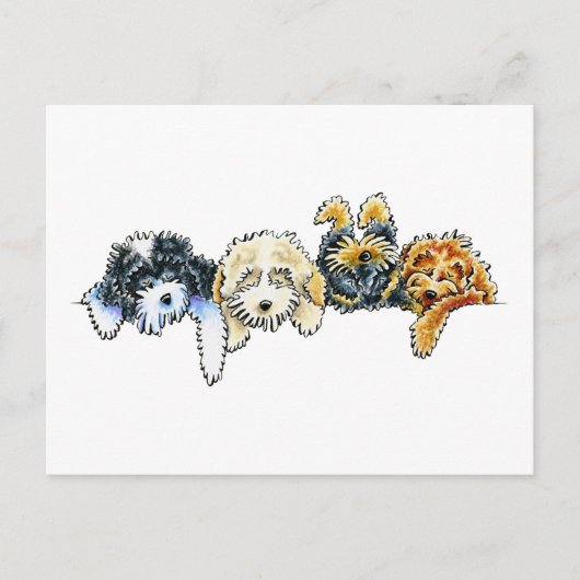 Sleepy Cockapoos Briefkaart (Voorkant)