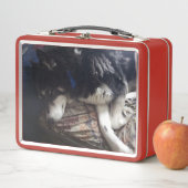 Sleepy Dog (In situ)