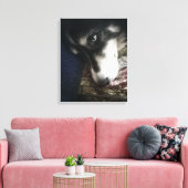 Sleepy Dog Canvas Afdruk (Insitu (Woonkamer))