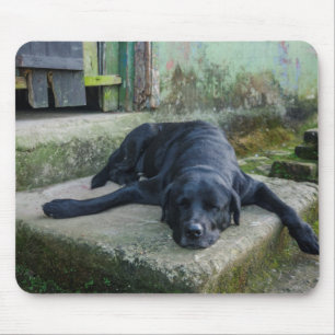 Sleepy Dog Muismat