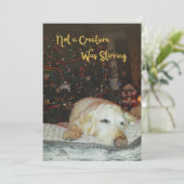 Sleepy Dog Not a Creature was het roeren van Kerst Feestdagenkaart (Staand voorkant)