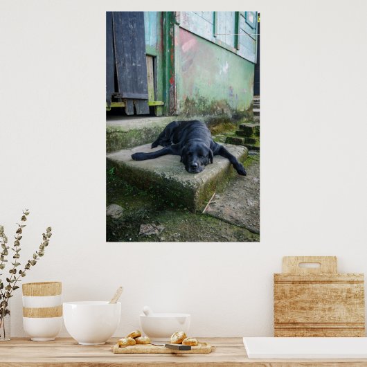 Sleepy Dog Poster (Keuken)