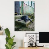 Sleepy Dog Poster (Thuiskantoor)