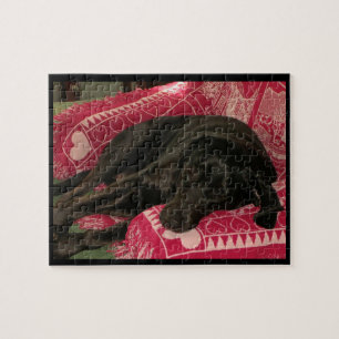 Sleepy Dog Puzzle Legpuzzel