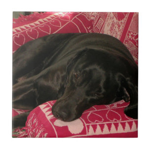 Sleepy Dog Tegel Tegeltje