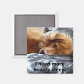 Sleepy Eyed Dog Magneet (Voorkant / Achterkant)