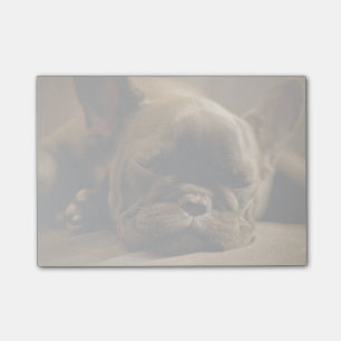 Sleepy French Bulldog Post-it® Notes