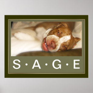 Sleepy Girl-Poster Poster