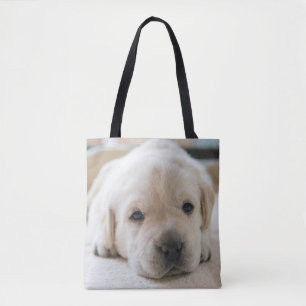 Sleepy Golden Labrador Puppy Draagtas