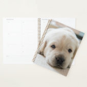 Sleepy Golden Labrador Puppy Planner (Display)