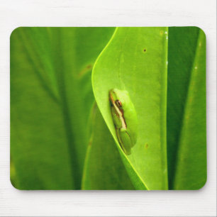 Sleepy Green Frog Muismat