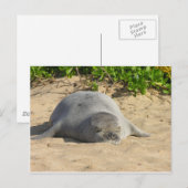 Sleepy Hawaiian Monk Seal Briefkaart (Voorkant / Achterkant)