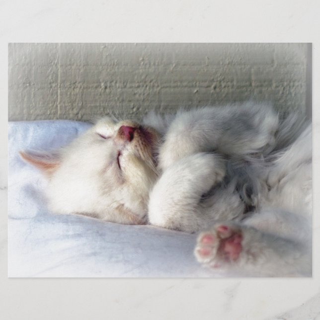 Sleepy Kitten (Voorkant)